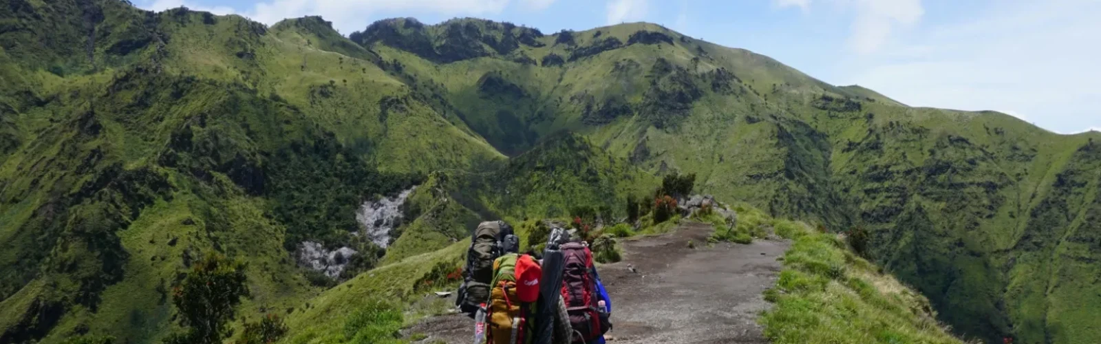 Best Hiking Trails and Scenic Viewpoints in San Francisco