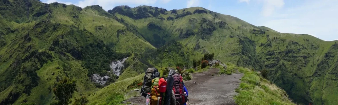 Best Hiking Trails and Scenic Viewpoints in San Francisco