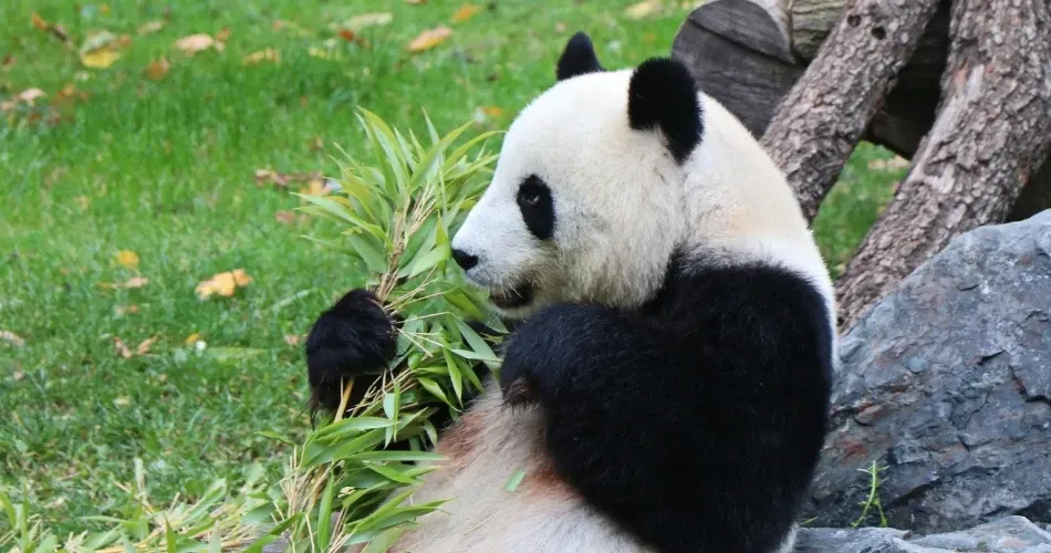 Top Family-Friendly Attractions in San Francisco You Must Visit