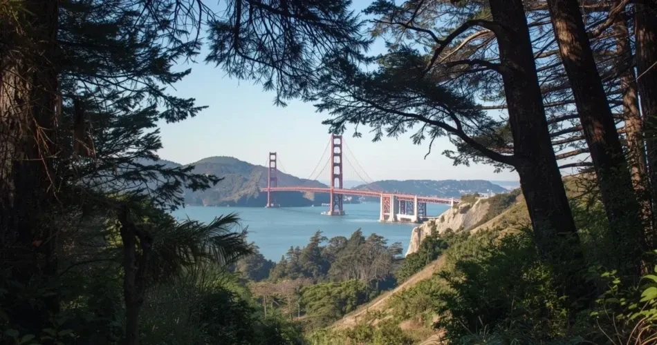 Best Hiking Trails and Scenic Viewpoints in San Francisco
