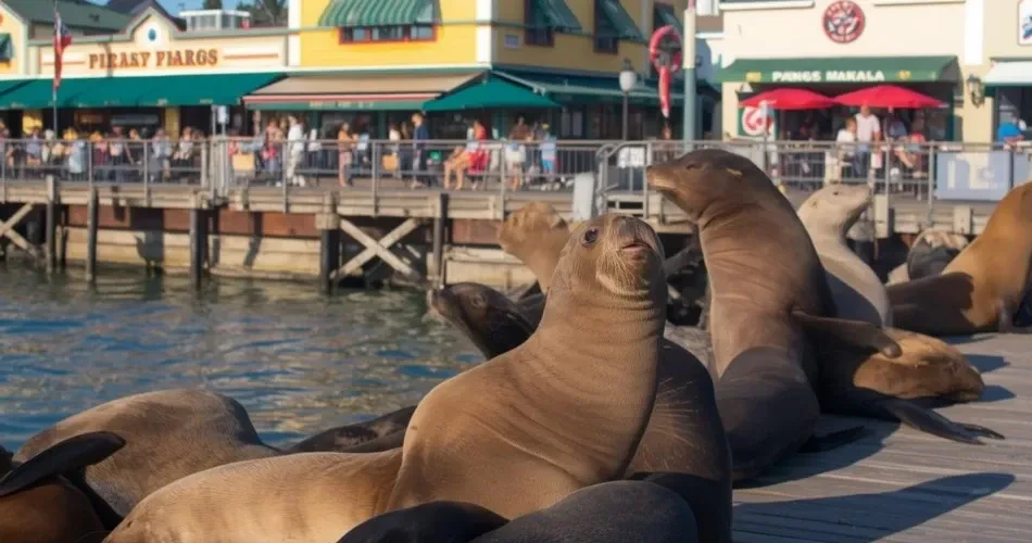 Complete San Francisco Travel Guide: Top Attractions, Landmarks & Hidden Gems